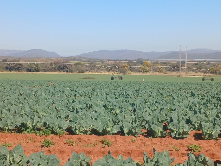 4 Bedroom Property for Sale in Groblersdal Limpopo