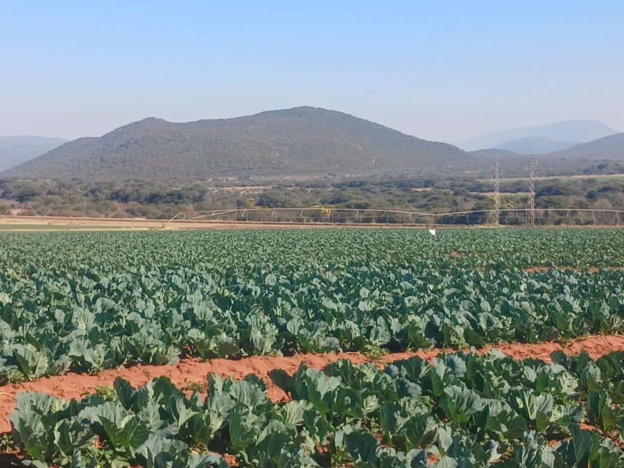 4 Bedroom Property for Sale in Groblersdal Limpopo