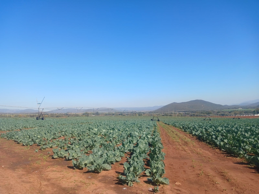 4 Bedroom Property for Sale in Groblersdal Limpopo