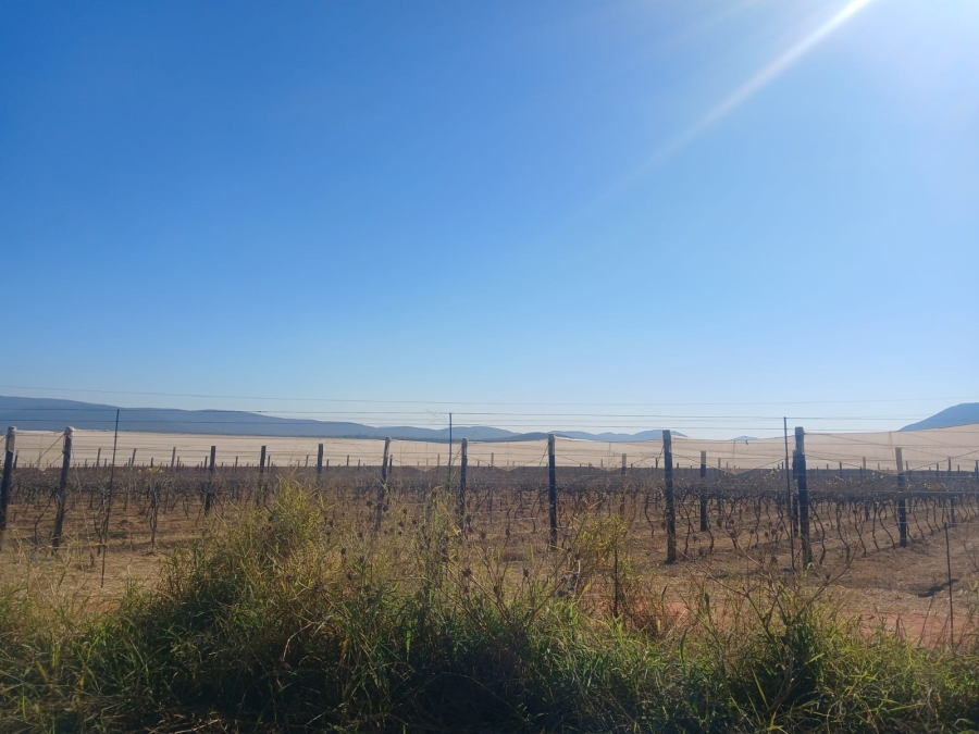 4 Bedroom Property for Sale in Groblersdal Limpopo