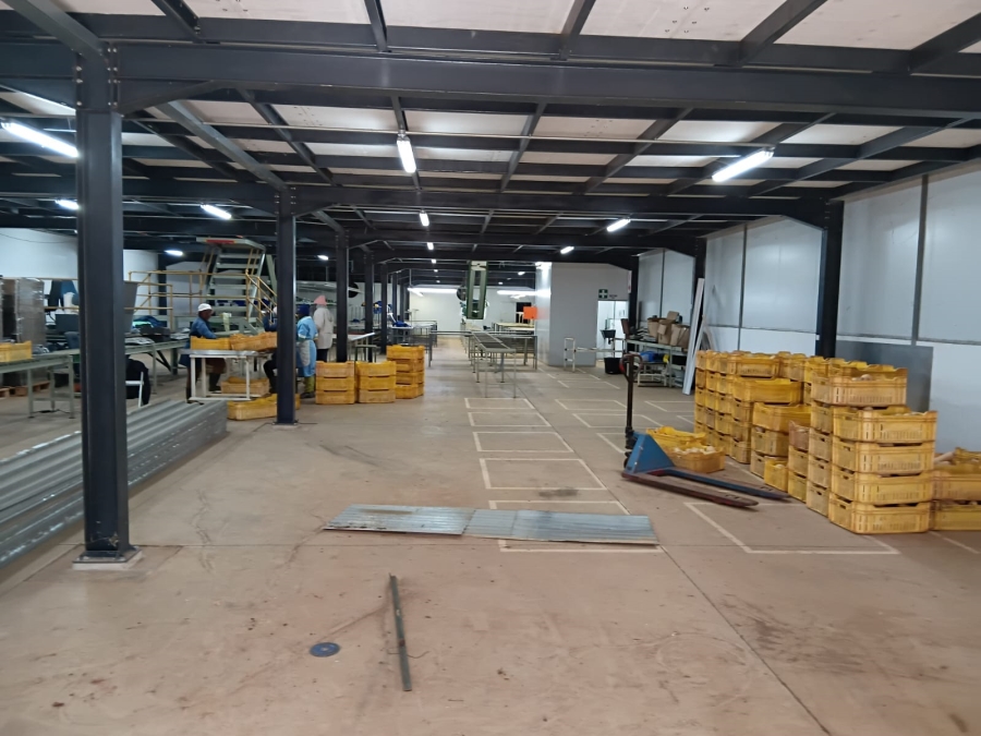 4 Bedroom Property for Sale in Groblersdal Limpopo