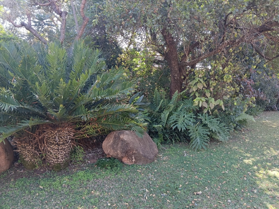 3 Bedroom Property for Sale in Groblersdal Limpopo