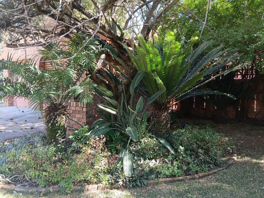 3 Bedroom Property for Sale in Groblersdal Limpopo