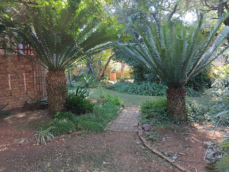 3 Bedroom Property for Sale in Groblersdal Limpopo