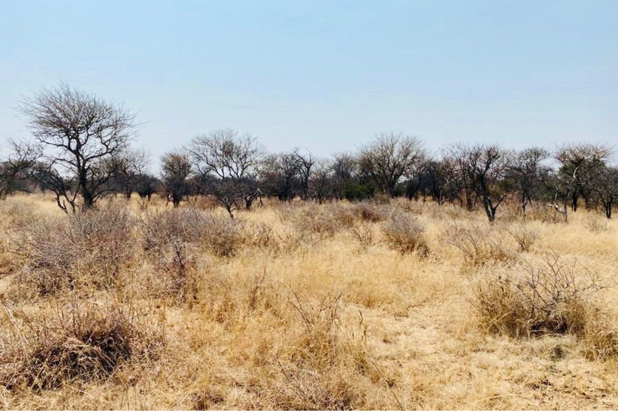 0 Bedroom Property for Sale in Ditholo Wildlife Estate Limpopo