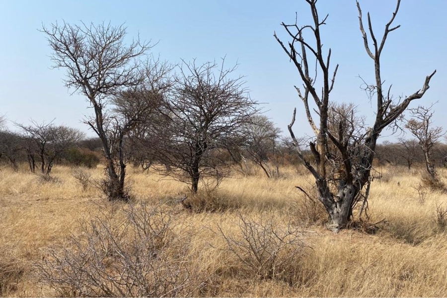 0 Bedroom Property for Sale in Ditholo Wildlife Estate Limpopo