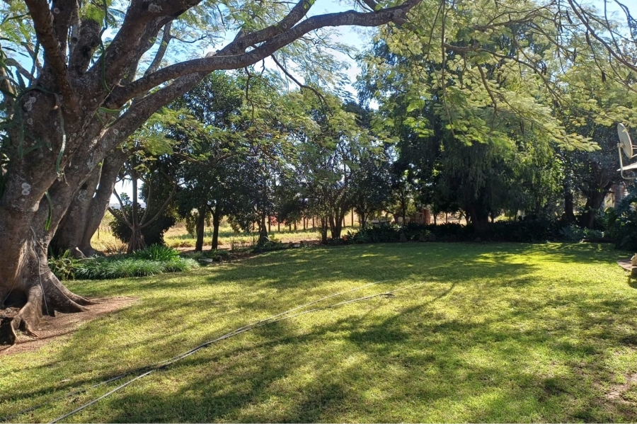 3 Bedroom Property for Sale in Louis Trichardt Limpopo