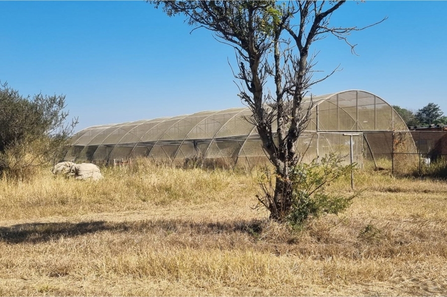 3 Bedroom Property for Sale in Louis Trichardt Limpopo
