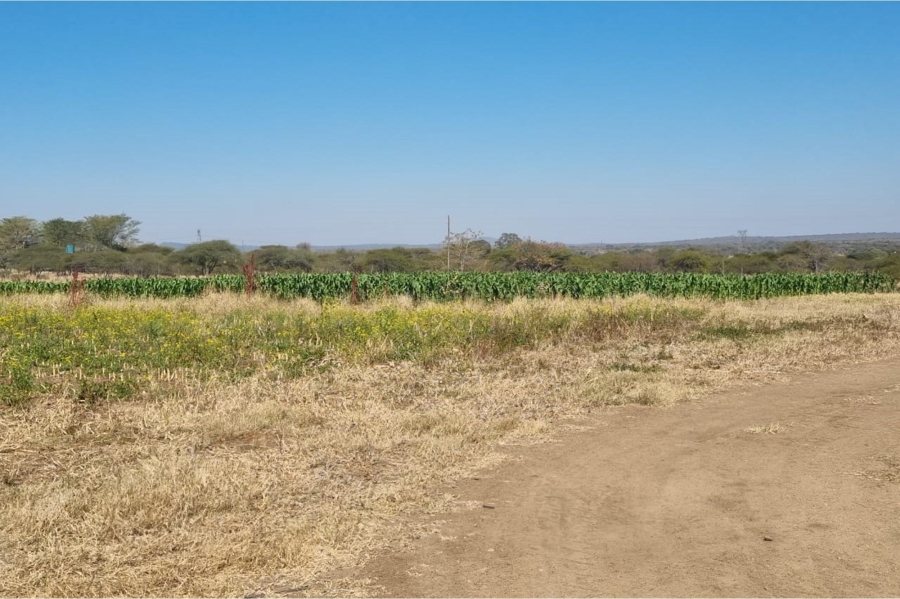 3 Bedroom Property for Sale in Louis Trichardt Limpopo