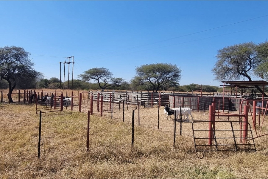 3 Bedroom Property for Sale in Louis Trichardt Limpopo