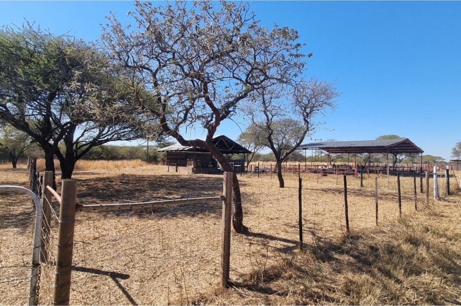 3 Bedroom Property for Sale in Louis Trichardt Limpopo