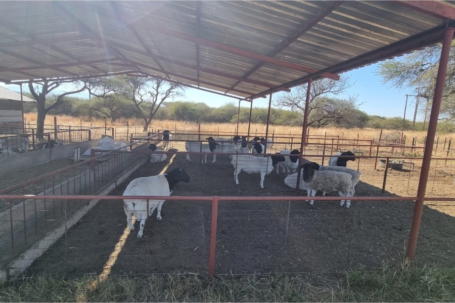 3 Bedroom Property for Sale in Louis Trichardt Limpopo