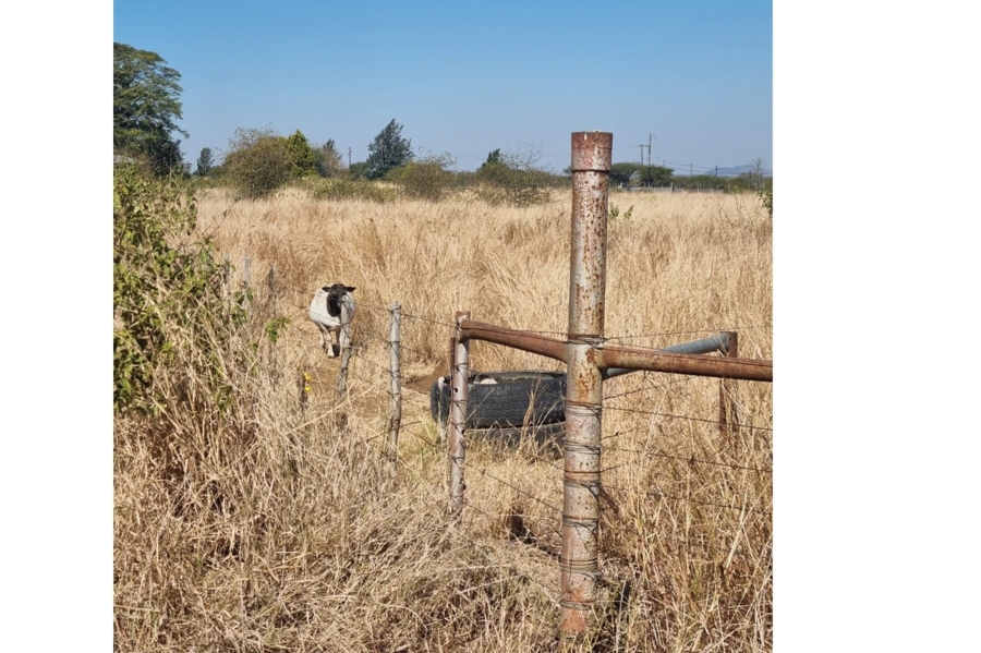 3 Bedroom Property for Sale in Louis Trichardt Limpopo