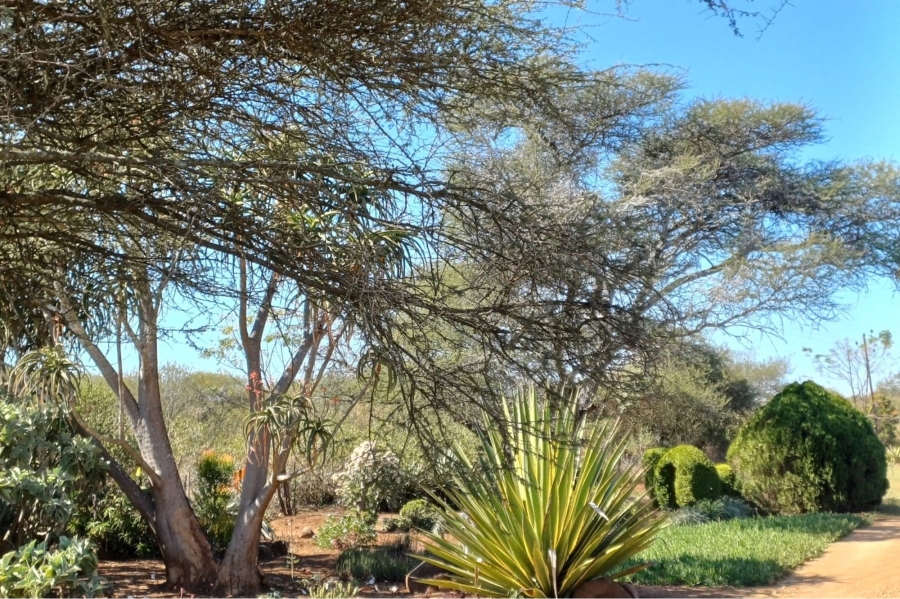3 Bedroom Property for Sale in Louis Trichardt Limpopo