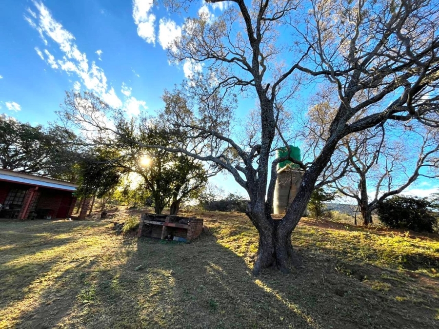 3 Bedroom Property for Sale in Modimolle Limpopo
