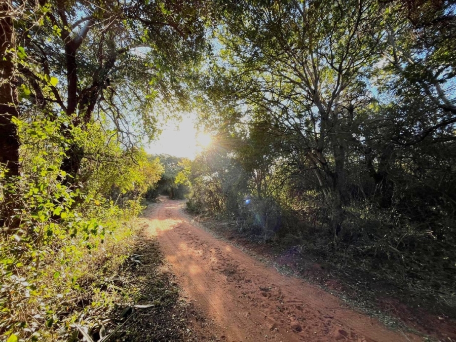 3 Bedroom Property for Sale in Modimolle Limpopo