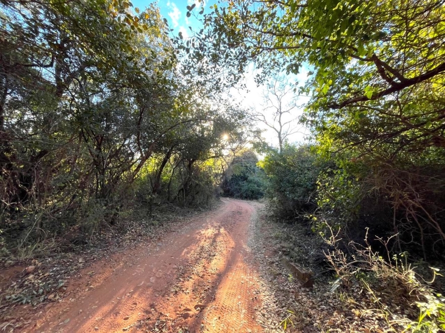 3 Bedroom Property for Sale in Modimolle Limpopo