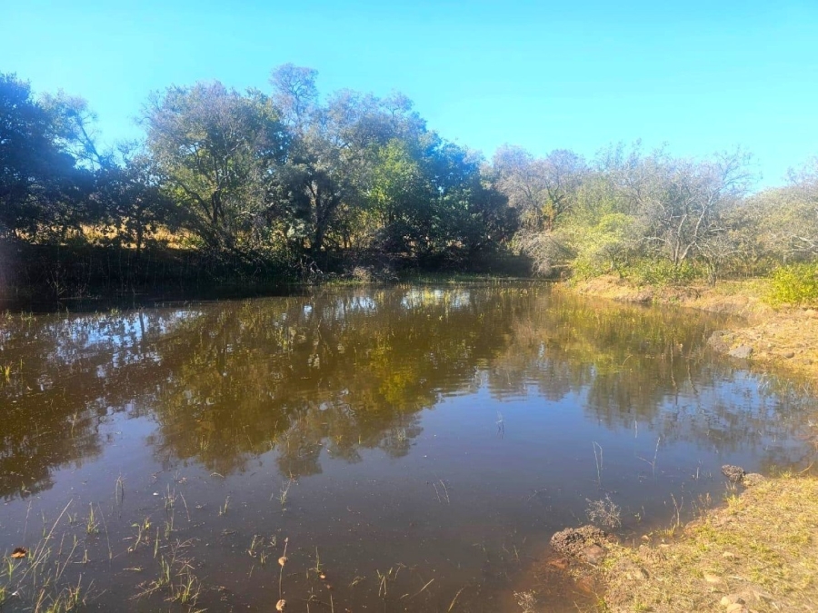 3 Bedroom Property for Sale in Modimolle Limpopo