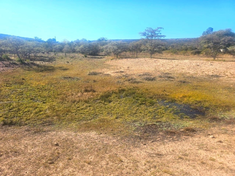 3 Bedroom Property for Sale in Modimolle Limpopo