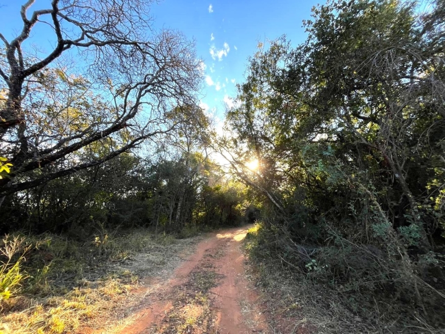 3 Bedroom Property for Sale in Modimolle Limpopo