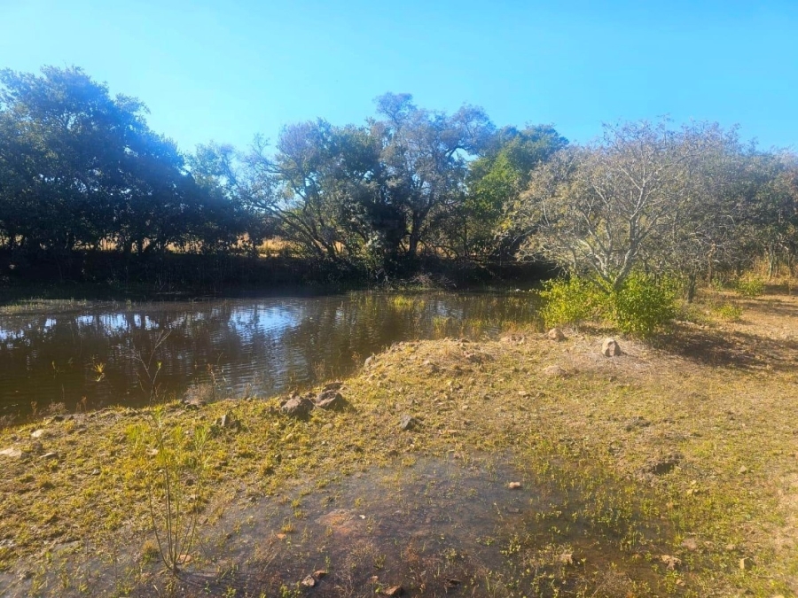 3 Bedroom Property for Sale in Modimolle Limpopo