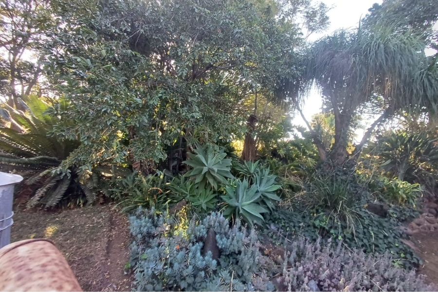 19 Bedroom Property for Sale in Louis Trichardt Limpopo