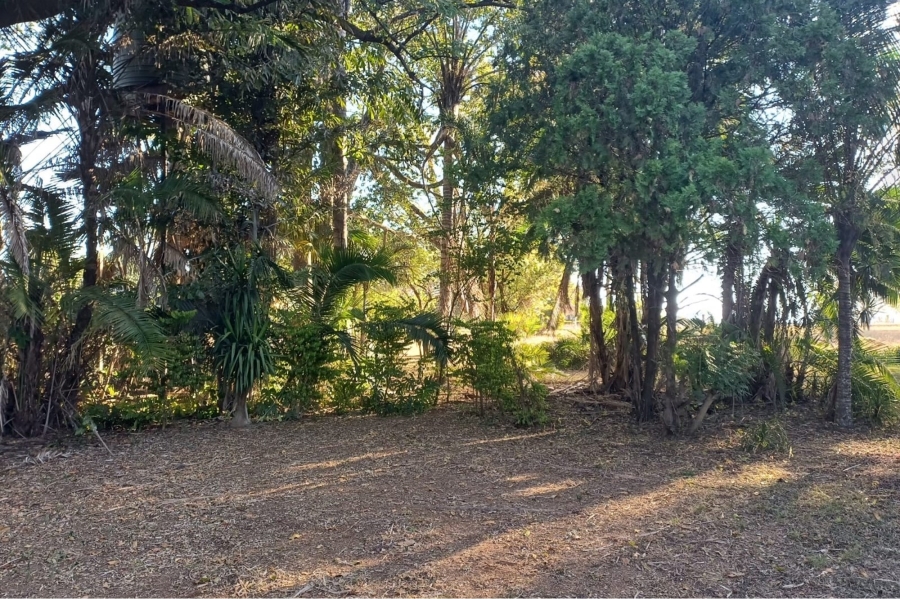 19 Bedroom Property for Sale in Louis Trichardt Limpopo