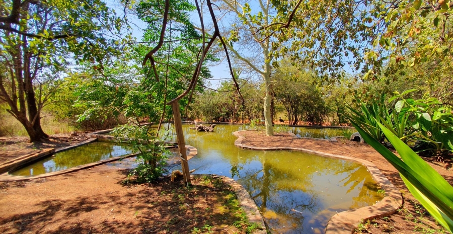 0 Bedroom Property for Sale in Mookgopong Limpopo