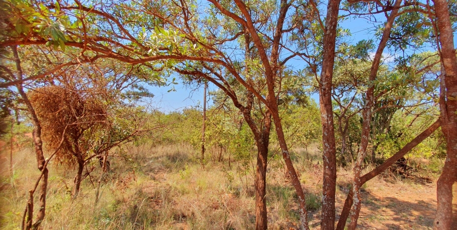 0 Bedroom Property for Sale in Mookgopong Limpopo