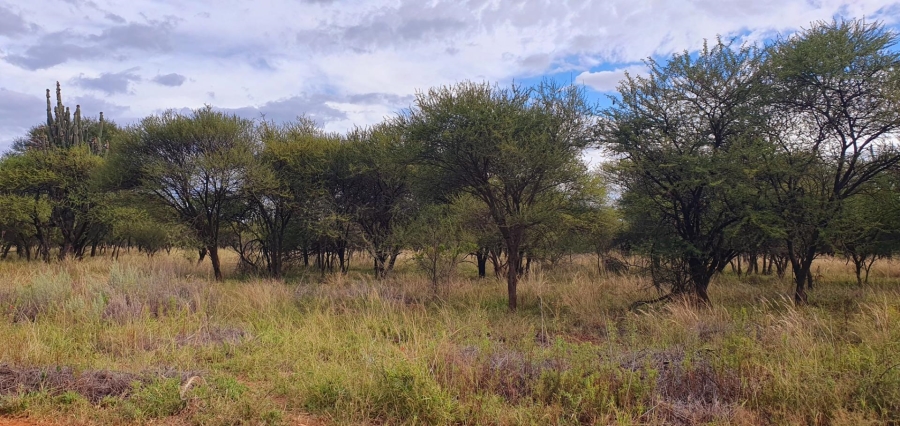 0 Bedroom Property for Sale in Mookgopong Limpopo