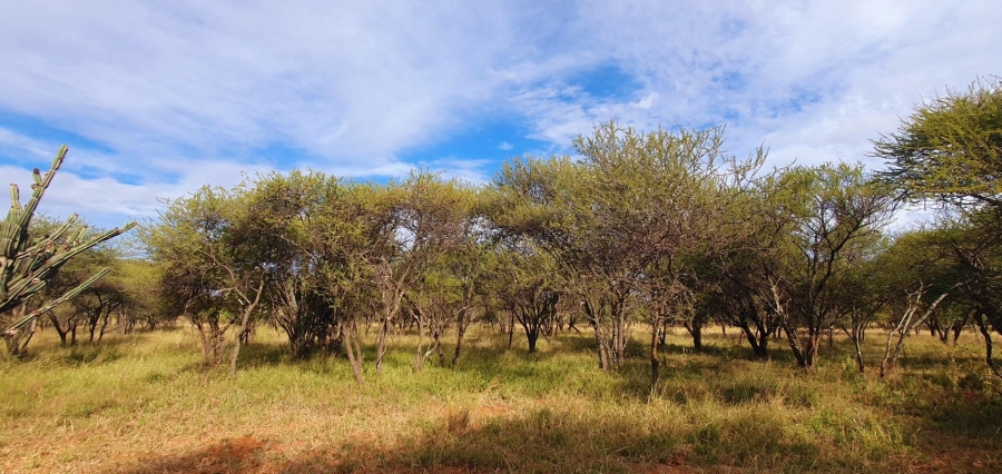0 Bedroom Property for Sale in Mookgopong Limpopo