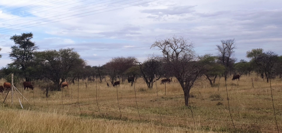 0 Bedroom Property for Sale in Mookgopong Limpopo