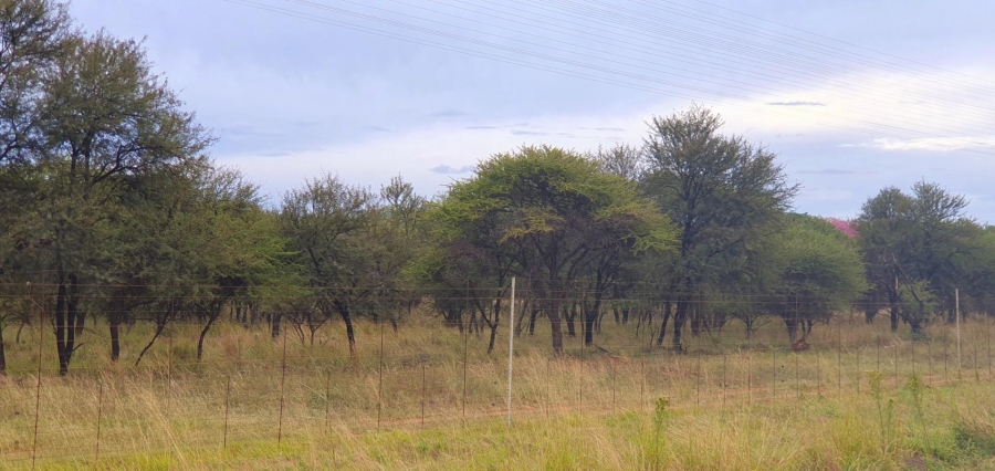 0 Bedroom Property for Sale in Mookgopong Limpopo