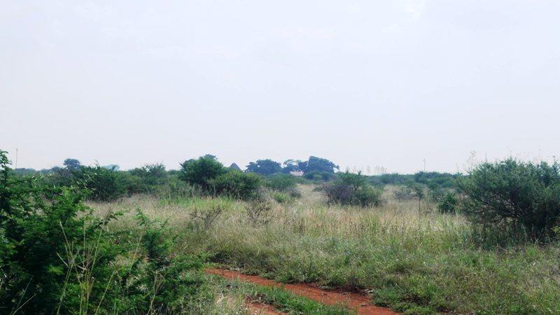 4 Bedroom Property for Sale in Roedtan Limpopo