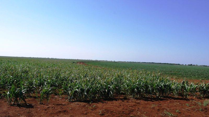 4 Bedroom Property for Sale in Roedtan Limpopo