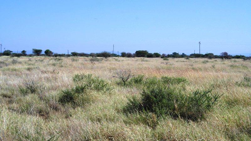 4 Bedroom Property for Sale in Roedtan Limpopo