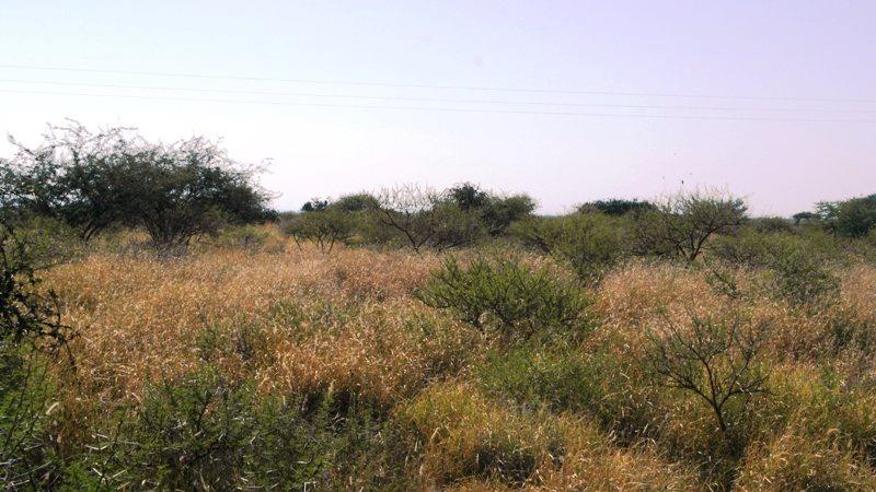 4 Bedroom Property for Sale in Roedtan Limpopo