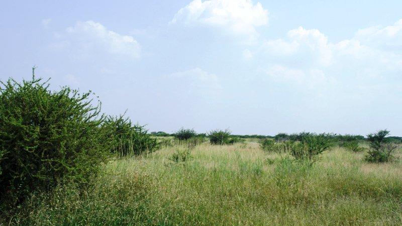 4 Bedroom Property for Sale in Roedtan Limpopo