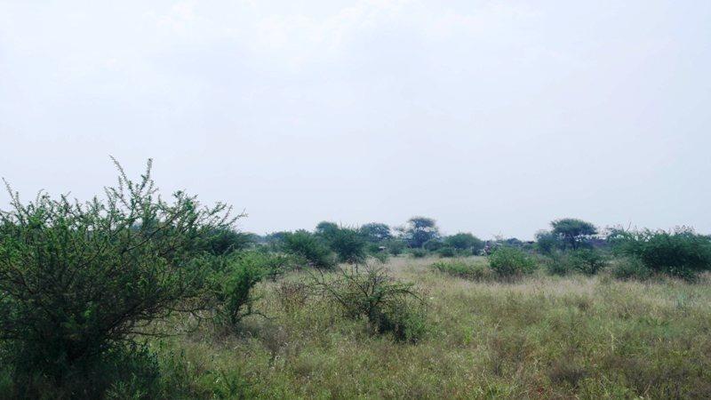 4 Bedroom Property for Sale in Roedtan Limpopo