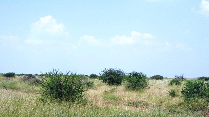 4 Bedroom Property for Sale in Roedtan Limpopo