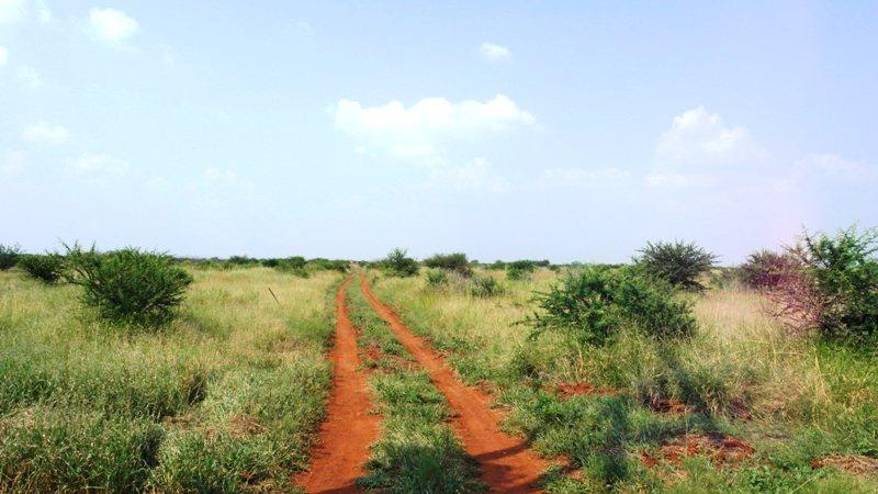 4 Bedroom Property for Sale in Roedtan Limpopo