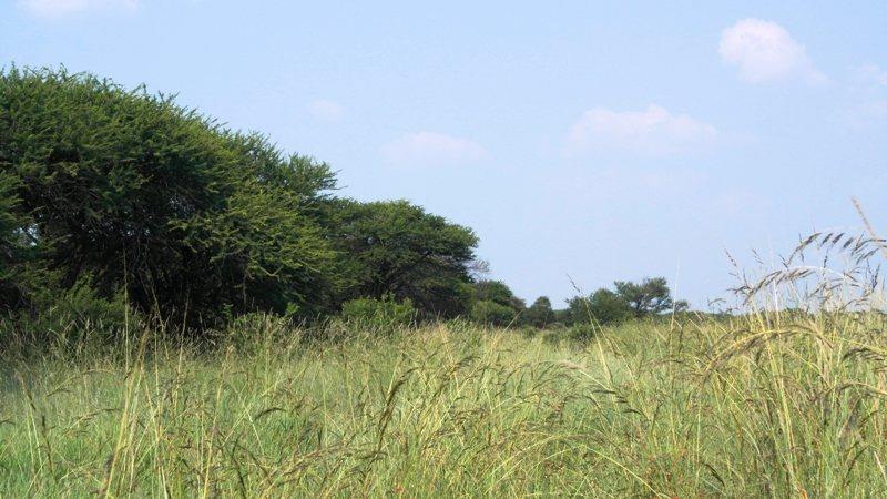 4 Bedroom Property for Sale in Roedtan Limpopo