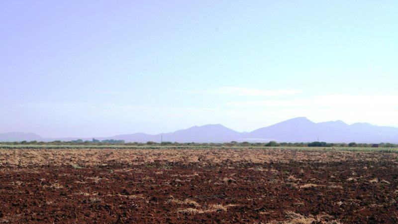 4 Bedroom Property for Sale in Roedtan Limpopo