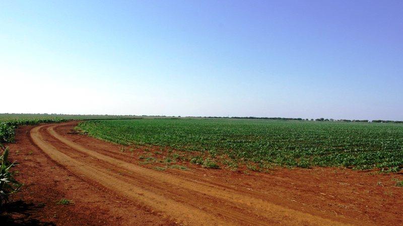 4 Bedroom Property for Sale in Roedtan Limpopo