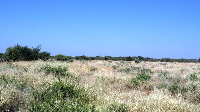 4 Bedroom Property for Sale in Roedtan Limpopo