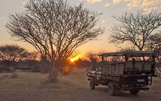 0 Bedroom Property for Sale in Ditholo Wildlife Estate Limpopo