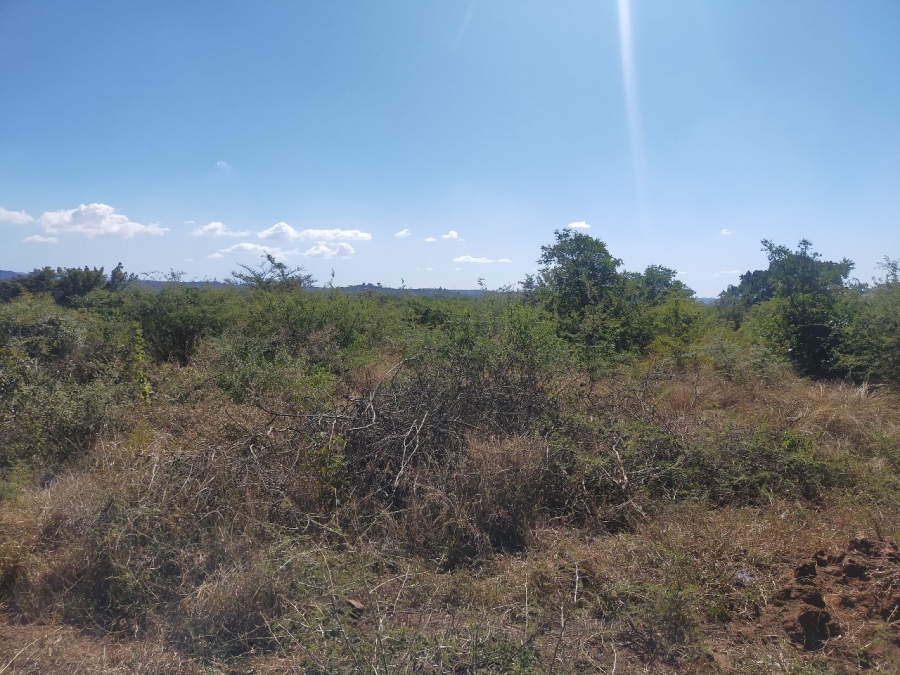 Commercial Property for Sale in Dididi Limpopo