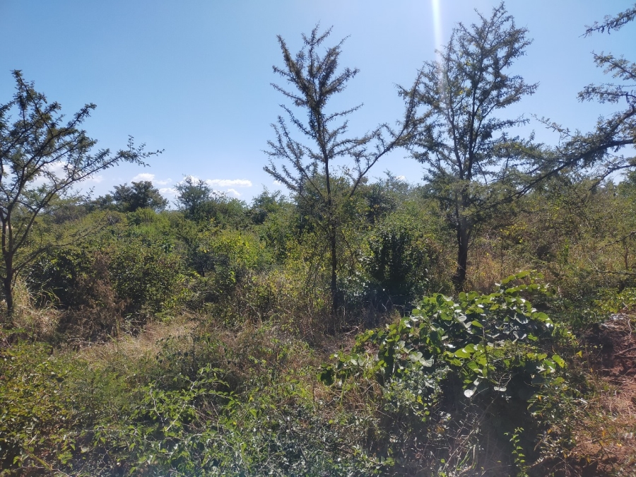 Commercial Property for Sale in Dididi Limpopo