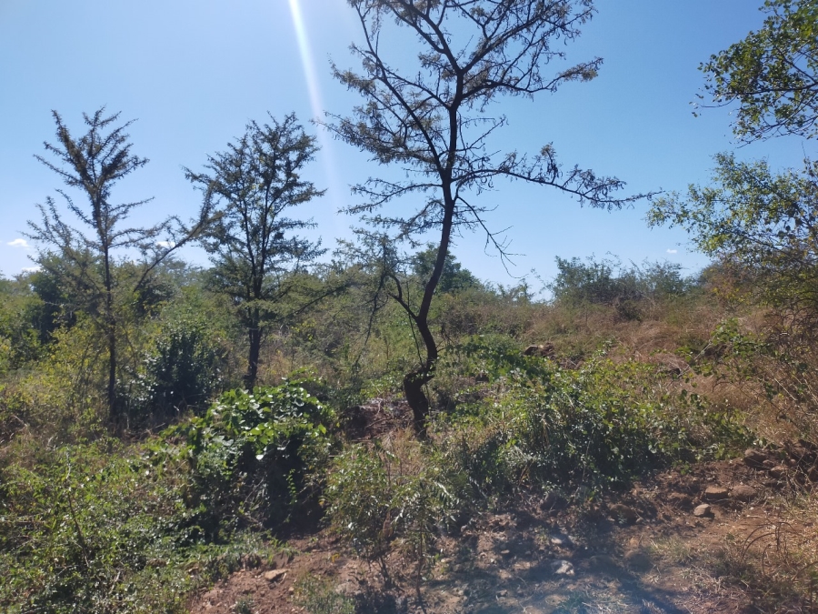 Commercial Property for Sale in Dididi Limpopo