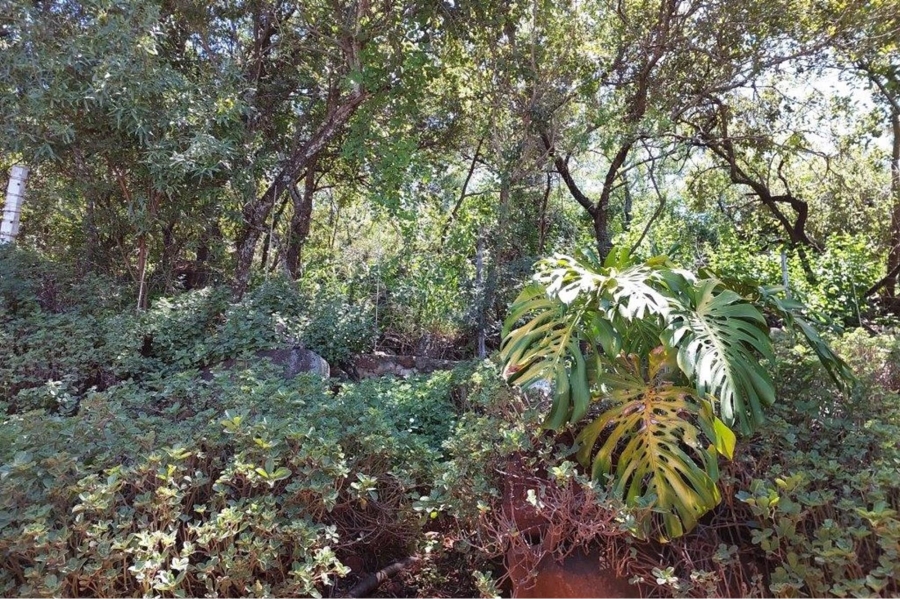 4 Bedroom Property for Sale in Modimolle Rural Limpopo